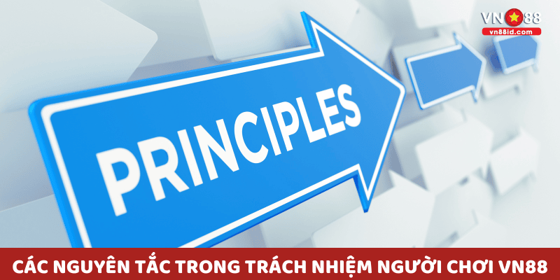 Các nguyên tắc trong Trách nhiệm người chơi VN88