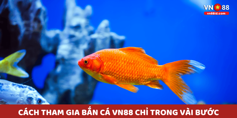 Cách tham gia Bắn Cá vn88 chỉ trong vài bước