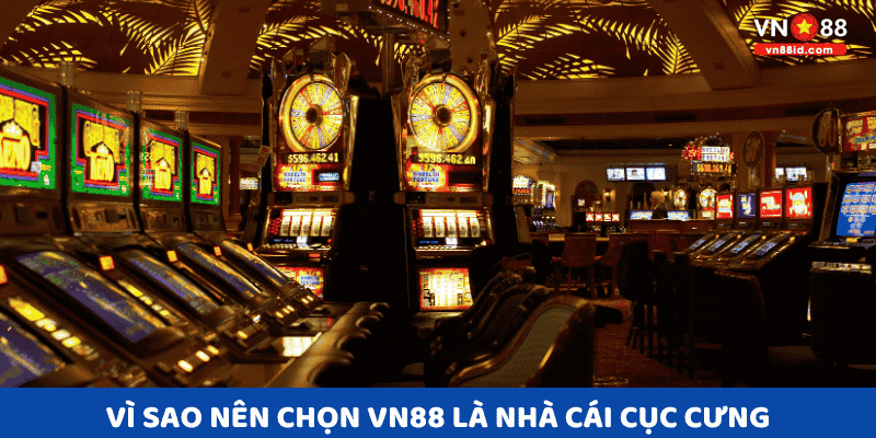 vì sao nên chọn vn88 là nhà cái cục cưng